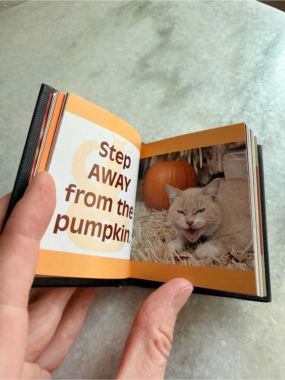 N/A scaredy cats